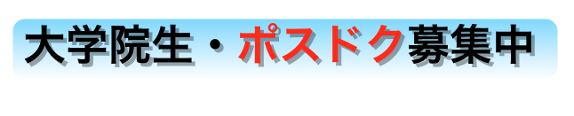 大学院生・ポスドク募集中